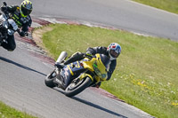Lower Group Yellow Bikes